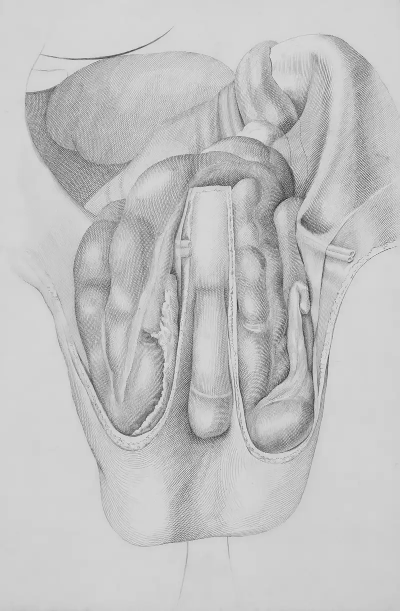 Doctor Theocharidis image