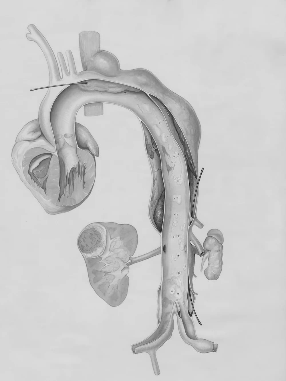 Home bio image