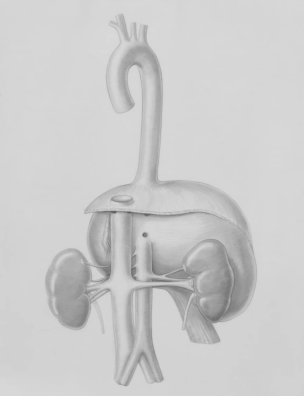 Home bio image 2